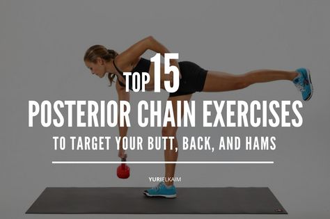 Anterior Chain Exercises, Closed Chain Exercises, Posterior Workouts, Posterior Chain Workout, Weights Exercises, Posterior Chain Exercises, Office Workouts, Core Conditioning, Posterior Chain