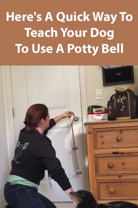 Potty Training Puppy With Bell, Dog Training Potty Go Outside, Potty Bell For Dogs, Diy Potty Bells For Dogs, Dog Bells For Door Potty Training, Bell Training Puppy Tips, Bell Training Puppy, Dog Potty Bell, Potty Bells