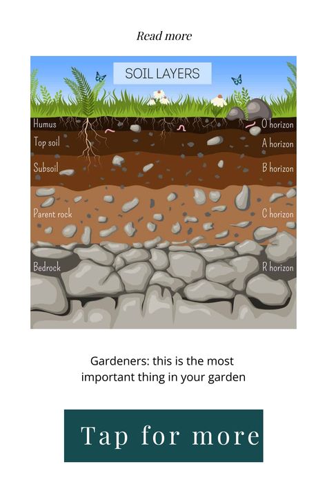 Illustration showing different soil layers with labels: humus, topsoil, subsoil, parent rock, bedrock. Garden Soil Mixture, Healthy Garden Soil, Garden Soil Preparation, Soil Mixture, Healthy Soil, Soil Texture, Mediterranean Plants, Thriving Garden, Soil Layers