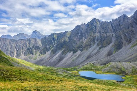 Alpine Tundra, Natural Vegetation, Alpine Landscape, Dnd Campaign, Mountain Range, Merchandise Design, The Dragon, Hairstyles, Natural Landmarks