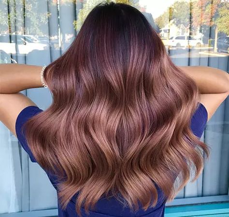 Rose Brown Hair Color, Rose Brown Hair, Brown Hair Cuts, Coffee Brown Hair, Brown Hair Trends, Hair Formula, Golden Brown Hair, Brown Hair Shades, Gold Hair Colors