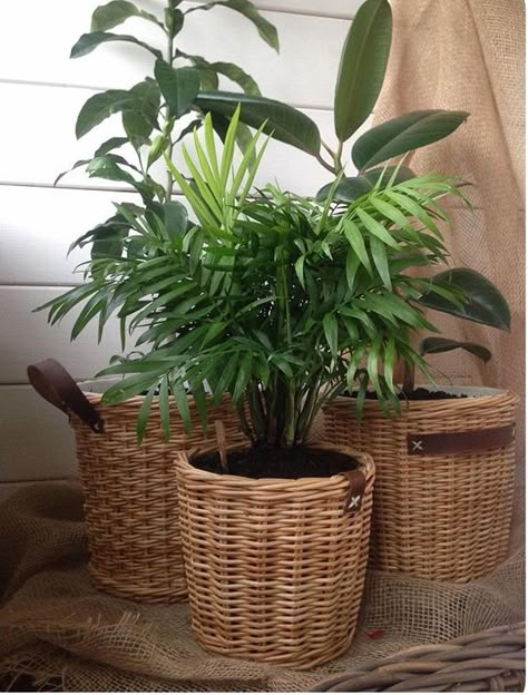 Wicker Planters Indoor, Basket Planters Indoor, Plants In Baskets, Modern Baskets, Rectangular Baskets, Indoor Flower Pots, Wicker Planter, Willow Weaving, Newspaper Basket