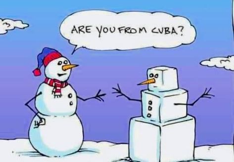 Whyatt Cartoons, Snowman Jokes, Funny Christmas Cartoons, Winter Humor, Snow Humor, Funny Christmas Jokes, Funny Xmas Cards, Snowman Cartoon, John Bell