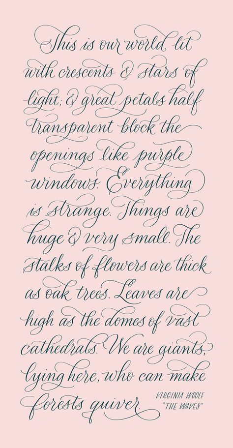 Copperplate Calligraphy Quotes, S Calligraphy Letter, Y Calligraphy, A Calligraphy Letter, Historical Calligraphy, Calligraphy H, Flourishing Calligraphy, Calligraphy Letters Design, Italic Calligraphy