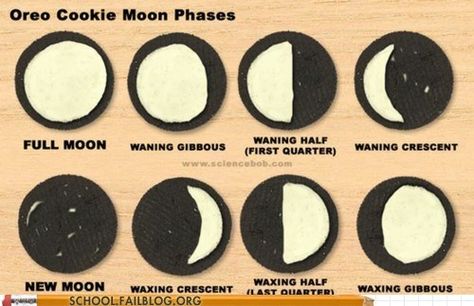 Lunar Theory: The Phases of the Moon, Sponsored By Nabisco Oreo Moon Phases, Space Activities For Kids, Diy Science Experiments, 4th Grade Science, Space Activities, 5th Grade Science, Earth And Space Science, School Plan, Diy Science