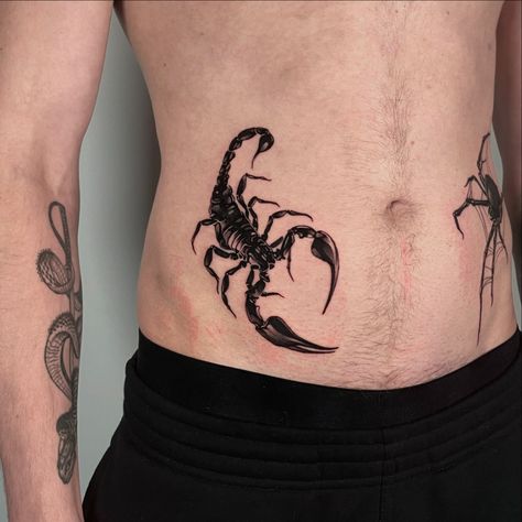 scorpion • Instagram Waist Tattoo, Medieval Tattoo, Waist Tattoos, Scorpio Tattoo, Scorpion Tattoo, Tattoo Design Drawings, Line Tattoos, Design Drawings, Mini Tattoos