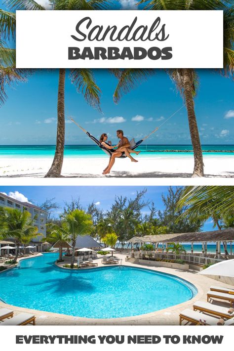 Barbados Sandals Resort, Sandals All Inclusive Resorts, Budget Friendly Honeymoon Destinations, Sandals Barbados, Barbados Resorts, Bar Layout, Island Mountain, Best Honeymoon Resorts, Barbados Vacation