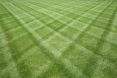 Mowed Lawn, Lawn Striping, Sod Installation, Diy Landscape, Lawn Mowing, Lawn Fertilizer, Aerate Lawn, Grass Pattern, Landscape Maintenance