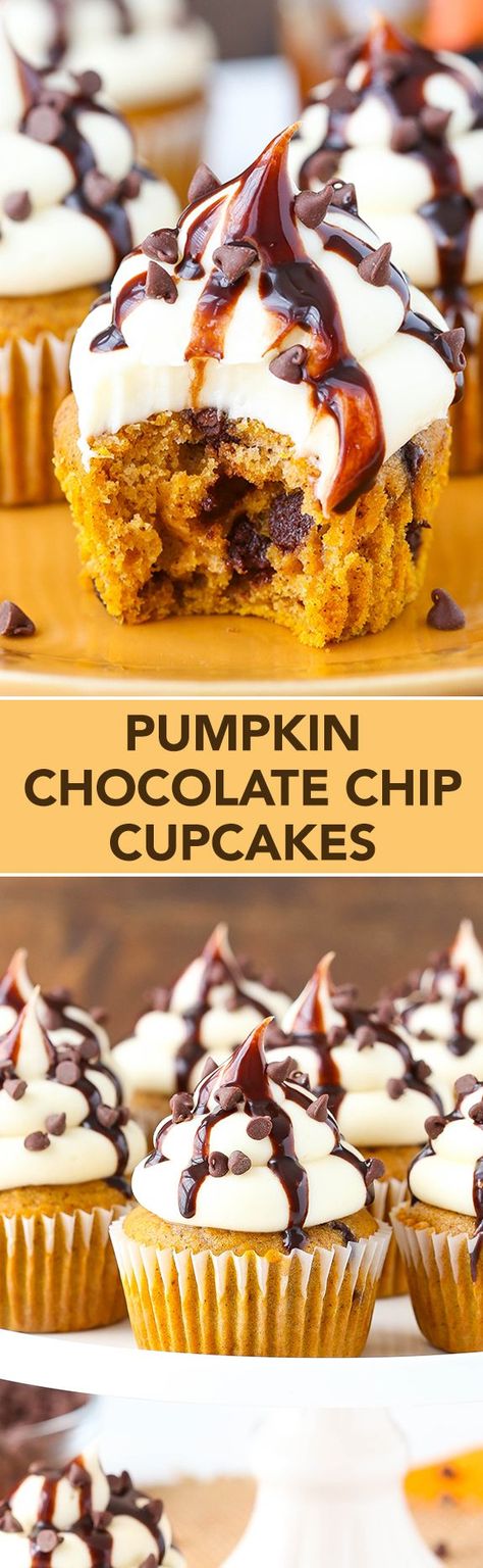 Pumpkin Chocolate Chip Cupcakes with Cream Cheese Frosting Pumpkin Chocolate Chip Cupcakes, Weight Watcher Desserts, Pumpkin Cravings, Chocolate Chip Cupcakes, Cupcakes With Cream Cheese Frosting, Pumpkin Chocolate Chip, Low Carb Dessert, Pumpkin Chocolate Chips, Pumpkin Spice Cupcakes