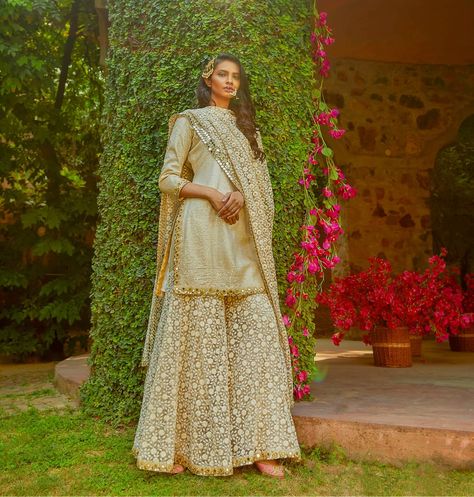 This Winter Look Haseen, With Abhinav Mishra’s New Fall Winter 2017 Collection – HASEEN  | Weddingplz Abhinav Mishra Sharara, Abhinav Mishra, Vision 2023, Co Ords Outfits, Romantic Aesthetic, Autumn Winter Collection, Fancy Dresses Long, Chiffon Collection, Saree Blouse Designs Latest