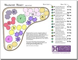 Butterfly Garden Front Yard, Small Butterfly Garden Design Layout, Butterfly Garden Design Layout, Hummingbird Garden Plan, Butterfly Garden Layout, Cottage Garden Plan, Small Scale Gardening, Perennial Garden Design, Monarch Butterfly Garden