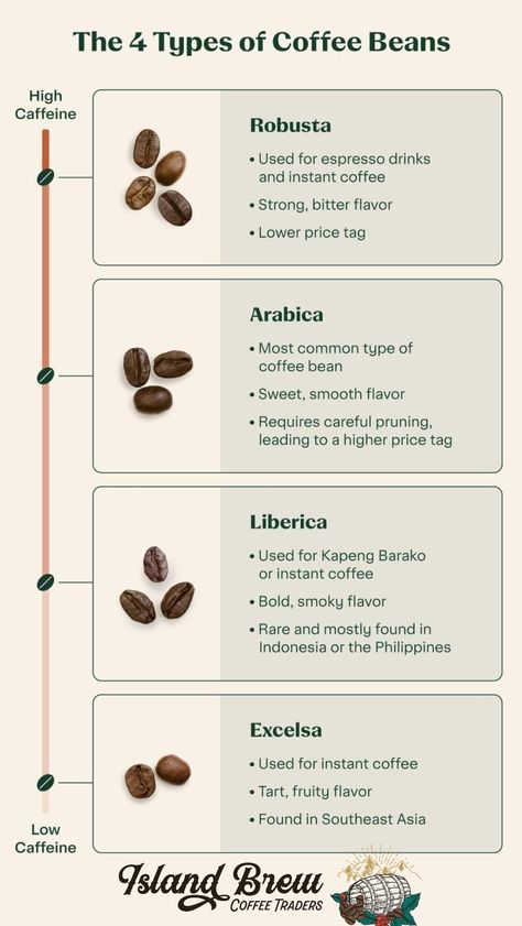 Coffee Chart, Types Of Coffee Beans, Coffee Infographic, Types Of Coffee, Coffee Shop Business, Coffee Guide, Coffee Facts, Coffee Business, Popular Drinks