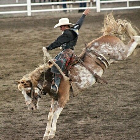 Bronc Riding Aesthetic, Ryder Wright, Rusty Wright, Dear Rodeo, White Bronco, Saddle Bronc Riding, Sarah Stone, Rodeo Quotes, Bronco Horse