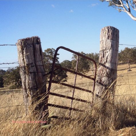 Draw Smile, Australian Gothic, Gate Pictures, Old Gates, Antique French Doors, Australia Landscape, Australian Farm, Country Fences, Farm Scenes