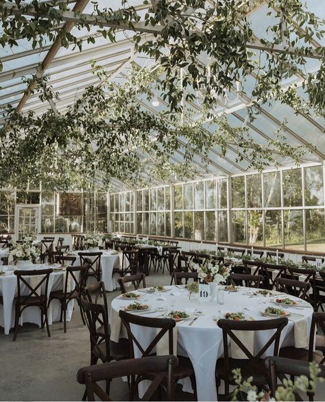 Solarium Wedding, Greenhouse Wedding Ceremony, Greenhouse Reception, Greenhouse Floor, Cafe Plants, Maine Elopement, Greenhouse Venue, Career Aesthetic, Event Venue Spaces