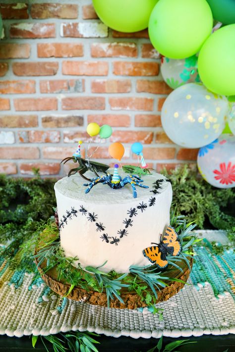 Bugs! Insects. Bug cake! Ant Birthday Party, Bug First Birthday Party, Insect Cake, Insect Party, Bug Birthday Party Ideas, Ant Birthday Cake, Bug Balloon Arch, Insect Birthday Party, Bug Birthday Party Decorations