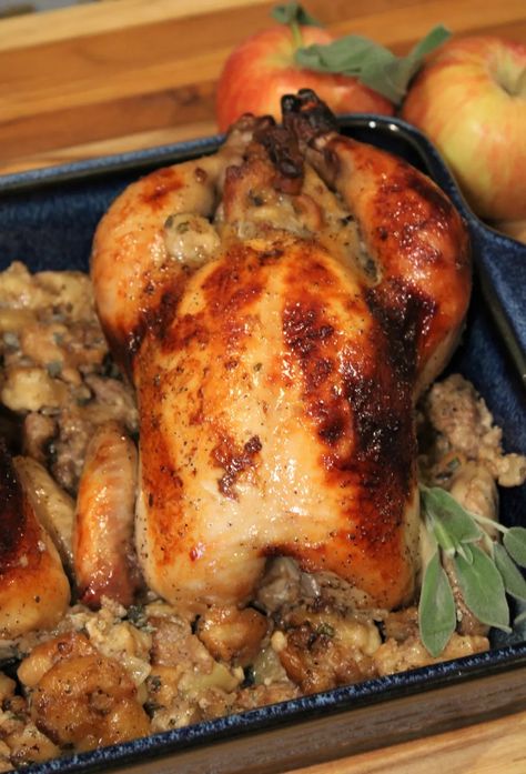 Stuffed Cornish Hen Recipe, Stuffed Cornish Hens, Cornish Game Hen Recipes, Cornish Game Hens, Cornish Hen Recipe, Game Hens, Cornish Hen, Cornish Game Hen, Sausage Stuffing