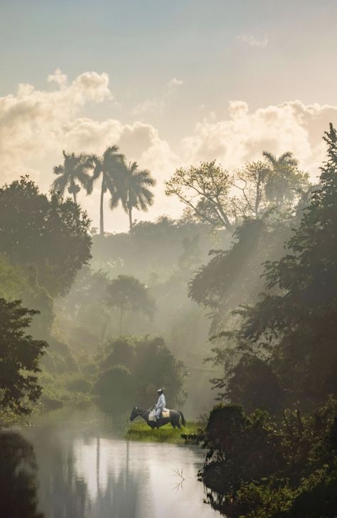 Cuba Pictures, National Geographic Expeditions, Trinidad Cuba, Cuban Art, Caribbean Island, Havana Cuba, Aquatic Plants, Caribbean Islands, Travel Inspo