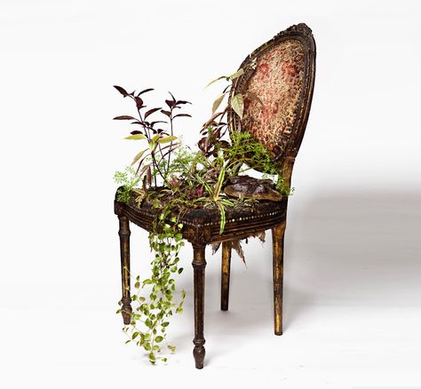 rodrigo bueno cultivates botanical life within nature-filled furniture Plant Installation, Plants Growing, Flower Installation, Reclaimed Furniture, Urban Nature, Old Chair, Old Chairs, Art Basel, Sculpture Installation