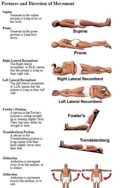 #bedpositions #patientbedpositions #medicalpositions Patient Positioning, Nursing School Memes, Radiology Schools, Emt Study, Medical Terminology Study, Medical Assistant Student, Radiology Student, Medical Library, Nursing Student Tips