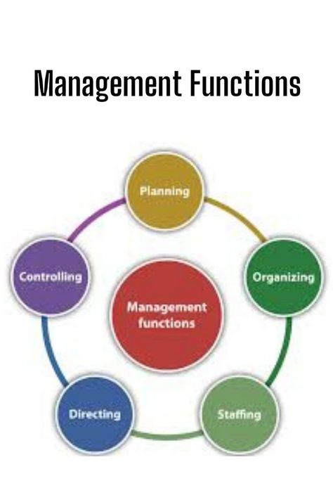 Human Capital, Making Decisions, Personalized Learning, Management Skills, Leadership Development, Decision Making, Leadership, Vision Board, Pie Chart