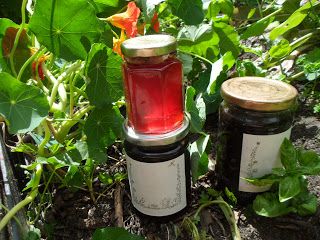 The History Girls: Procrastination and Hedgerow Jelly by Janie Hampton Hedgerow Jelly, Big Jam, Vegetable Bed, Berry Picking, Let It Burn, Red Jelly, Make Do And Mend, Jam And Jelly, How To Make Jam