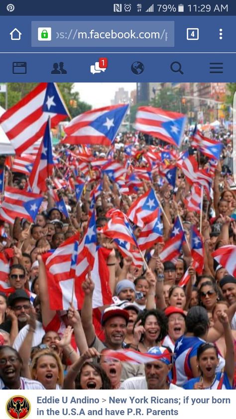 Puerto Rican Parade, Puerto Rican People, Pr Flag, Brazil Girls, Taino Indians, Spanish Harlem, Puerto Rico Pictures, Puerto Rico Food, Puerto Rico History