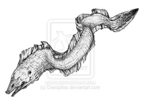 Eel Eel Reference, Eel Tattoo Design, Eel Tattoo, Electric Eel Tattoo, Moray Eel Tattoo, Eel Illustration, Moray Eel Drawing, Electric Eel Drawing, Dragon Moray Eel