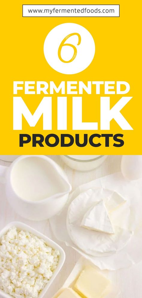 If you want to know more about fermented milk, how it’s made, and what are some of the most famous fermented milk products, keep reading! . . . #MyFermentedFoods #FermentedFoods #FermentedMilk #FermentedDairy #Milk #Cheese #Yogurt #Kefir Fermented Cheese, Fermented Dairy, Fermented Milk, Probiotic Drinks, Kefir Recipes, Gut Health Recipes, Milk Kefir, Probiotic Foods, Fermentation Recipes