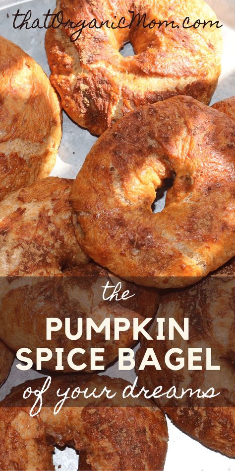 Pumpkin Spice Bagel Recipe, Pumpkin Bagels, Cinnamon Honey Butter, Cinnamon Honey, Homemade Pumpkin Spice, Homemade Bagels, Fall Morning, Bagel Recipe, Honey Butter