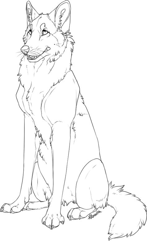 Another Free Lineartby ~Hlaorith Wolf Base, Wolf Sketch, Canine Drawing, Easy Animal Drawings, Wolf Drawing, Canine Art, White Drawing, Anime Wolf, Animal Sketches