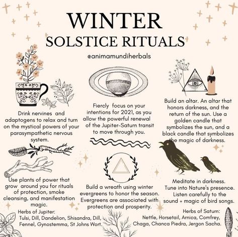 Make an altar, say a prayer, drink herbs ruled by Jupiter Saturn, listen to bird songs @animamundiherbs Winter Solstice Rituals, Winter Solstice Party, Solstice Party, Winter Solstice Celebration, Yule Celebration, Solstice Celebration, Witch Tarot, Wiccan Magic, Witchcraft Spell Books