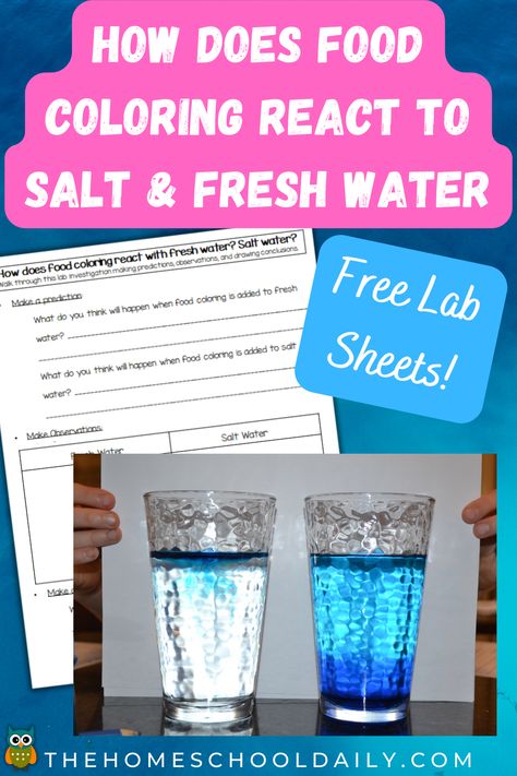 Salt Water Vs Fresh Water Experiment, Salt Water Density Experiment, Water Density Experiment, Density Experiment, Water Cycle Worksheet, Science Fair Experiments, Water Science Experiments, Ph Water, Water Experiments