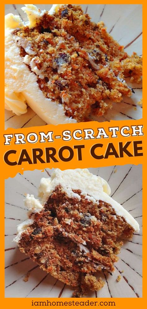 Moist Carrot Cake Recipe, Carrot Cake Recipe From Scratch, Carrot Cake Recipe Homemade, Easy Pineapple Cake, Carrot Cake With Pineapple, Moist Carrot Cake, Delish Cakes, Cake Carrot, Carrot Cake Recipe Easy