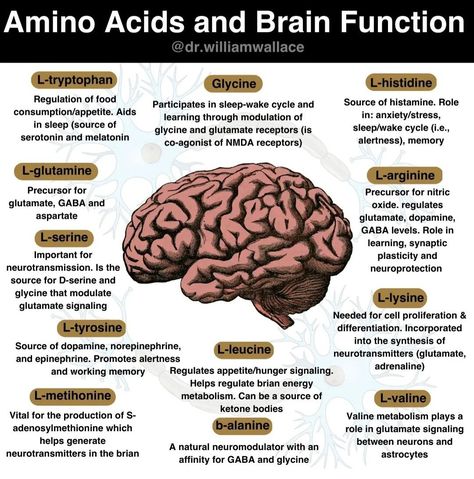 Mitochondrial Health, Psychiatric Medications, L Tyrosine, William Wallace, Healing Remedies, L Arginine, Holistic Nutrition, Human Brain, Brain Health