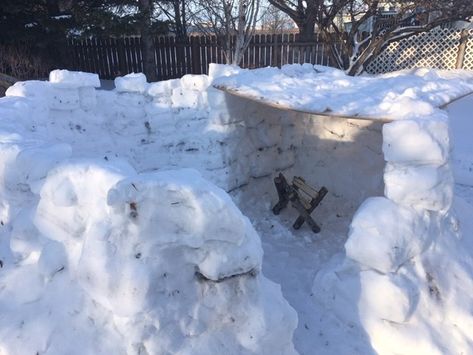 Snow fort competition for Tisdale Salvation Army - SaskToday.ca Outside Office, Snow Fort, Snow Outside, The Salvation Army, Bored At Home, 25 Days Of Christmas, Salvation Army, Space Planets, Winter Activities