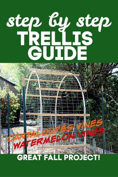 Garden Trellis Arch, Green Beans Garden, Vege Patch, Squash Trellis, Step Garden, Trellis Arch, Garden Trellis Designs, Vertical Trellis, Backyard Vegetable Garden