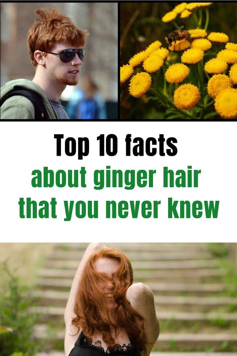 Hair Ideas For Redheads, Ginger Hair Styles Natural Redhead, Hairstyles For Gingers, Red Hair Facts, Facts About Gingers, I Love Gingers, Natural Ginger Hair, Irish Red Hair, Ginger Facts