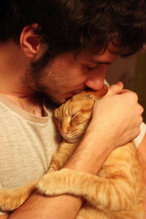 He had me at first sight.  Love is Ageless  http://www.susanhaught.com Men With Cats, Cat People, Ginger Cats, Orange Cat, Man In Love, Crazy Cat Lady, Beautiful Cats, Animals Friends, Crazy Cats