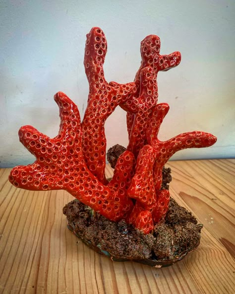 Large Coral Sculpture, Coral Clay Art, Coral Ceramic Art, Coral Clay Sculpture, Coral Ceramics, Clay Coral Reef, Coral Pottery, Coral Diy, Ceramic Coral Reefs