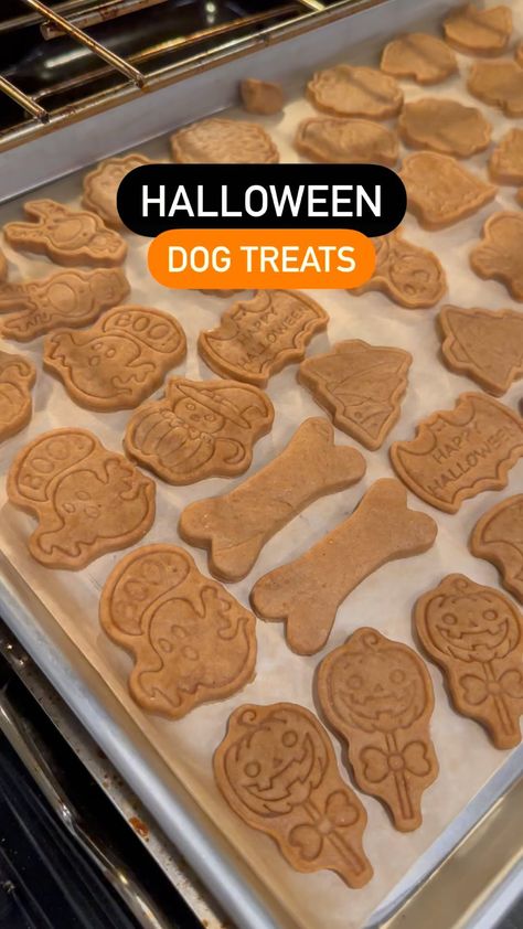 Halloween will be here soon 🎃 these dog treats are cute for trick or treating! If you’re a dog bakery, time to start planning your Halloween treats, pricing and packaging! 👻 #halloween #halloweendog #halloweendogtreats #dogtreats #pumpkindogtreats #halloweencookies #halloweentreats #halloweencookiecutters #halloweentreats🎃 Sell Dog Treats, Dog Treat Business, Halloween Packaging, No Bake Dog Treats, Dog Treat Packaging, Halloween Dog Treats, Treat Business, Pet Treats Recipes, Dog Treat Recipe