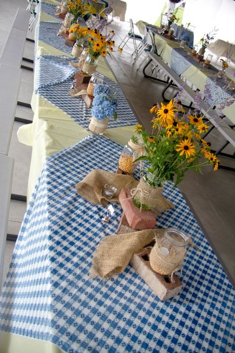 Tables decorated for our picnic reception. Picnic Themed Parties Centerpieces, Picnic Themed Decorations, Blue Table Cloth Decorations, Summer Picnic Table Decorations, Picnic Table Cloth Ideas, Picnic Buffet Table Ideas, Decorated Picnic Tables, Picnic Table Decor Ideas, Blue Picnic Theme Party