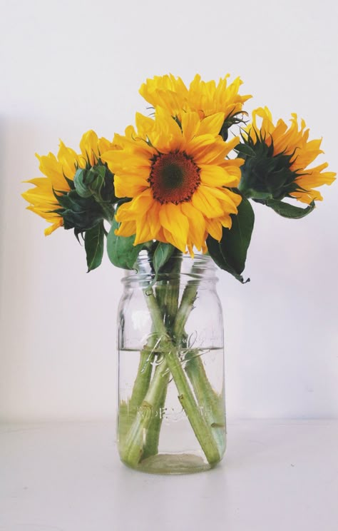 Sunflowers In Mason Jars, Sunflower In Mason Jar, Sunflower In Vase, Sunflower Mason Jar, Pixel Wallpaper, Sunflower Vase, Flower Sunflower, Sunflower Pictures, Sunflower Wallpaper