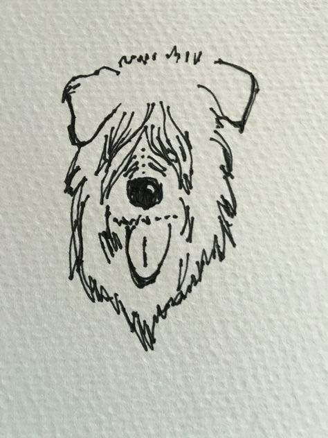 Just doodling! Wheaten Terrier Tattoo, Terrier Drawing, Terrier Tattoo, Wheaton Terrier, Soft Coated Wheaten Terrier, Farm Dogs, Wheaten Terrier, Drawing Easy, Tattoo Inspo