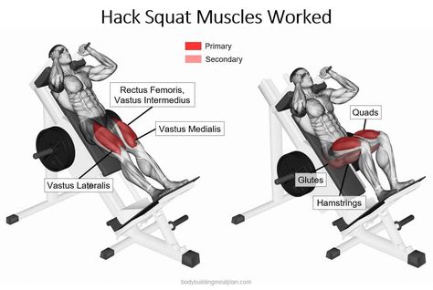 Hacksquats Machine, Hack Squat Machine Foot Placement, Hack Squat Alternative, Squat Muscles Worked, Gym Form, Squats Muscles Worked, Gym Split, Exercise Examples, Lower Body Workout Gym