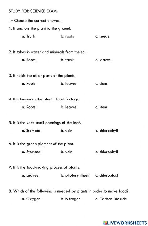 Class 3 Science Worksheets, Year 5 Science Worksheets, Class Ukg Gk Worksheet, Class 6 Science Worksheet, Science Gk Questions In English, Life Cycles Preschool, Plants Worksheets, Worksheets For Class 1, Chemical Science