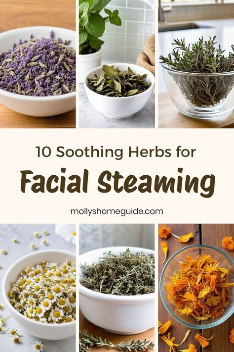 Discover the soothing benefits of herbal facial steam treatments with our DIY herbal facial steam recipe. Using carefully selected herbs for facial steaming, you can create a calming and rejuvenating experience right at home. Whether you have oily skin, acne-prone skin, or just want to achieve that coveted glow, our facial steam recipes for skin are perfect for all skin types. Try steaming facial herbs today and treat your skin to a spa-like experience that will leave you feeling refreshed and r Herbs For Facial Steaming, Facial Recipes Homemade, Eucalyptus Steam Bowl, Herbs For Skincare, Herbal Facial Steam Recipe, Facial Steam Recipes, Benefits Of Facial Steaming, Steam For Face Skin Care, Facials Diy At Home