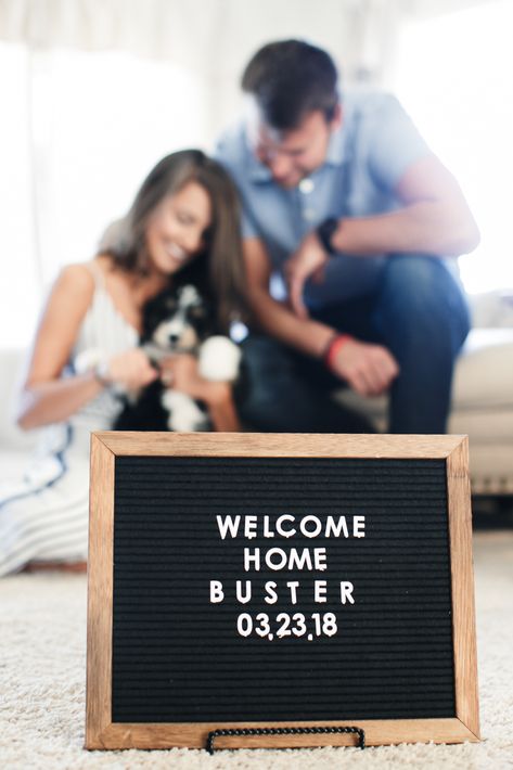 Welcome home dog sign! Welcome Bernedoodle puppy! Photo by Samantha Rice Photography Welcome Home Dog Ideas, Welcome Puppy Announcement, New Puppy Photoshoot, Puppy Announcement Ideas, Welcome Home Puppy, Puppy Reveal, Yorkshire Terrier Grooming, Puppy Announcement, Rice Photography