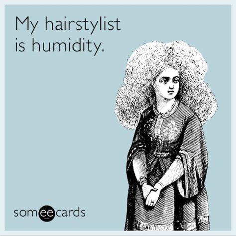 Check on your curly haired friends in this heat. Humidity Hair, Snarky Humor, Funny Confessions, Friendship Humor, Sarcastic Quotes Funny, Favorite Bible Verses, Hair Stuff, Twisted Humor, Just Smile