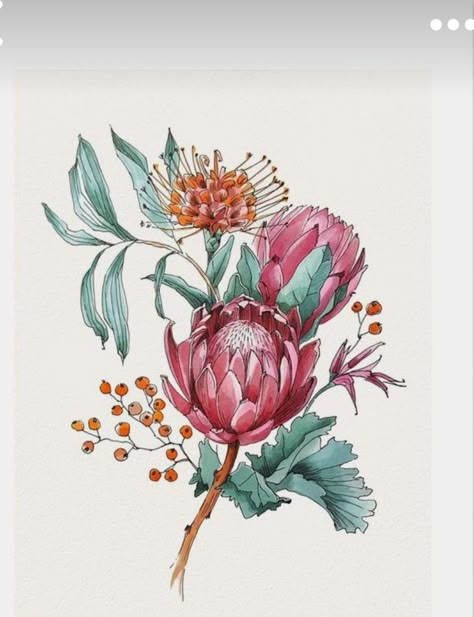 Queen Protea Tattoo, Protea Watercolor Painting, Protea Art Paintings, Protea Line Drawing, Protea Flower Tattoo, Protea Illustration, Protea Tattoo, Botanical Images, Protea Art